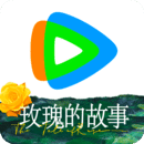 桃鹿禾未